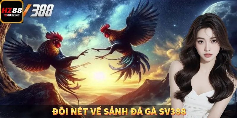 Đôi nét về sảnh đá gà SV388