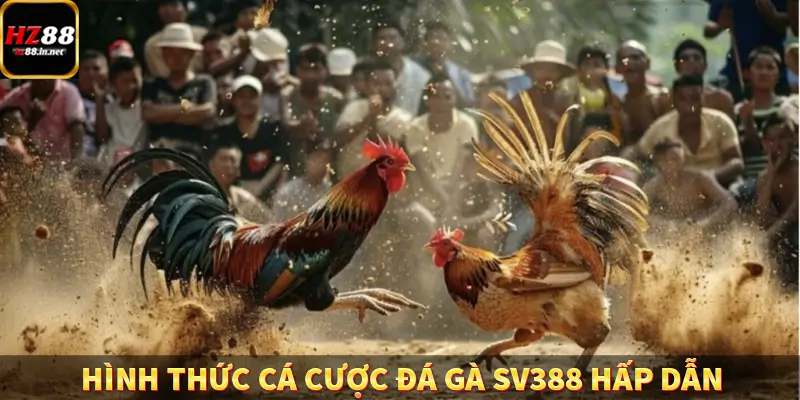 Hình thức cá cược đá gà SV388 hấp dẫn