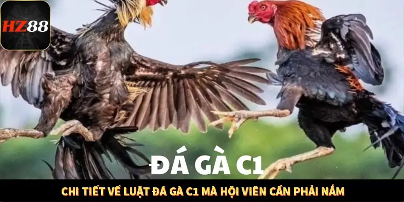 Casino Trực Tuyến HZ88 Có Thực Sự Minh Bạch Và An Toàn Không? 12 Chi tiết về luật đá gà C1 mà hội viên cần phải nắm