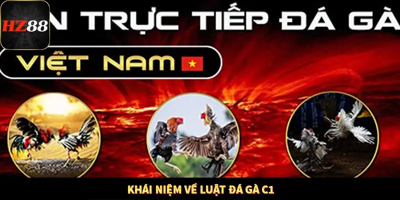 Casino Trực Tuyến HZ88 Có Thực Sự Minh Bạch Và An Toàn Không? 11 Khái niệm về luật đá gà C1