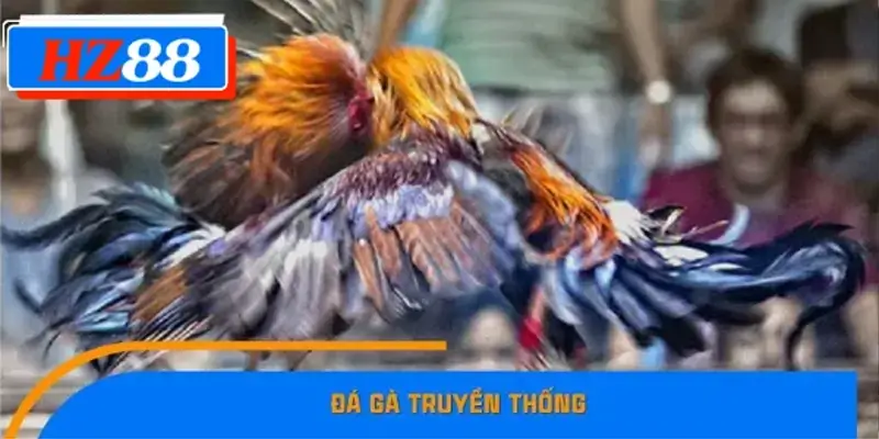 Đá gà truyền thống