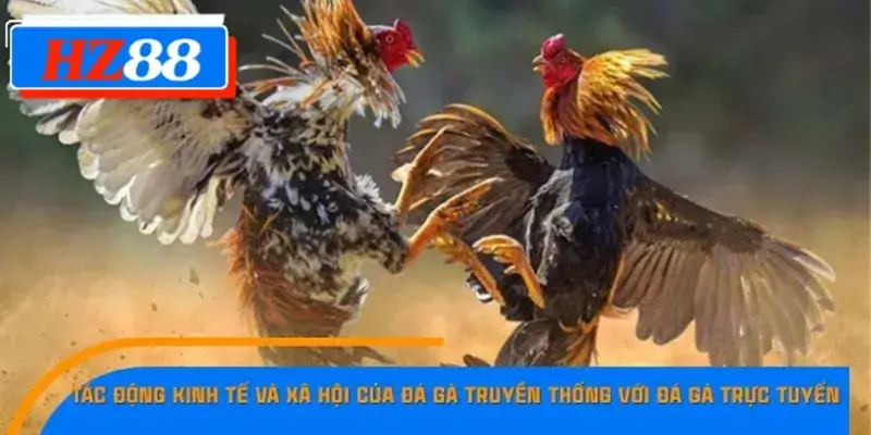 Tác động kinh tế và xã hội của đá gà truyền thống với đá gà trực tuyến