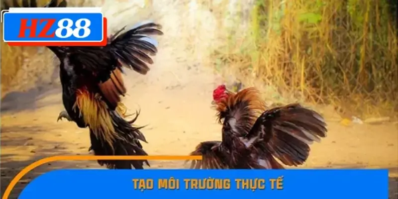 Tạo môi trường thực tế Tạo môi trường thực tế